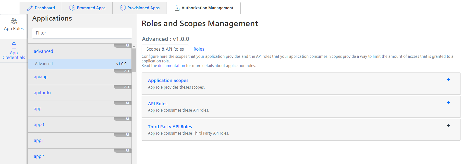 Scopes and API Roles